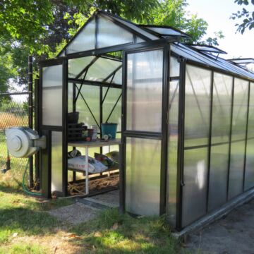 Gardenmeister Four Seasons 300 Gewächshaus Polycarbonat 8 mm schwarz